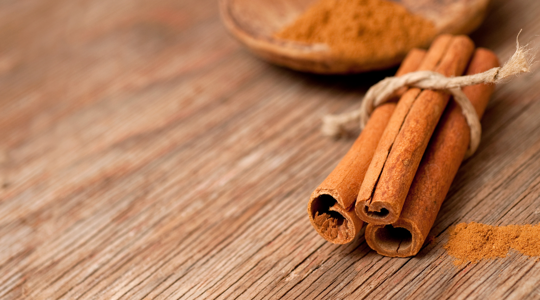 Cinnamon Bark - Snuggle up! How to use this Essential Oil all year!