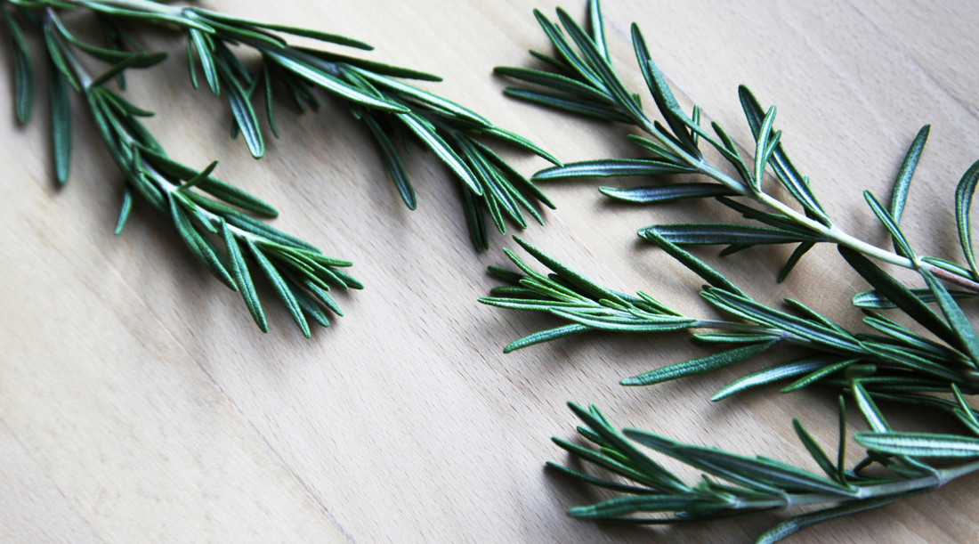 Rosemary - 9 Reasons this should be one of your Favorite Essential Oils